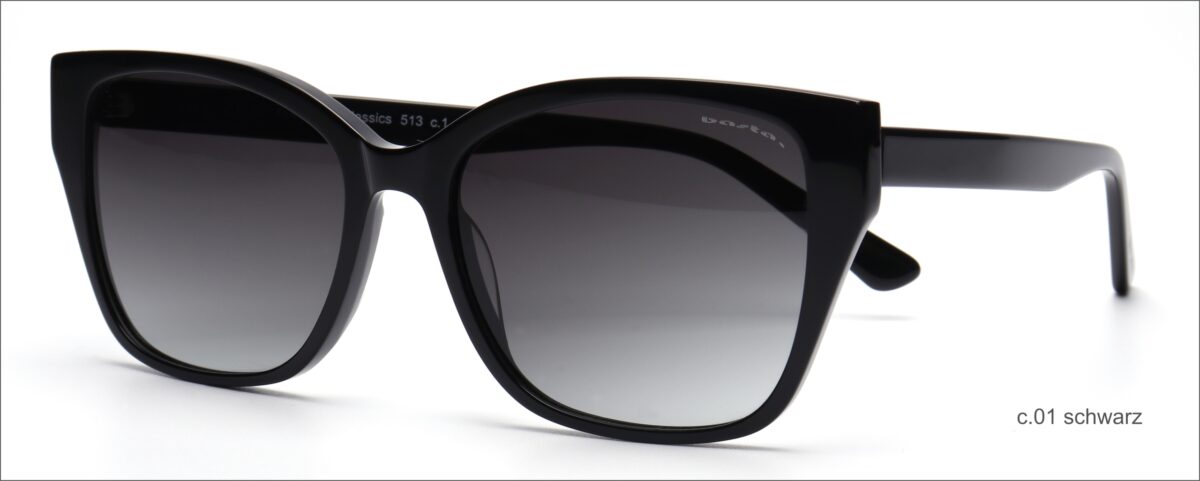 Modell 513