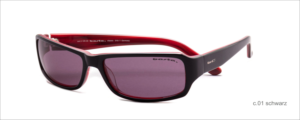 Modell 310