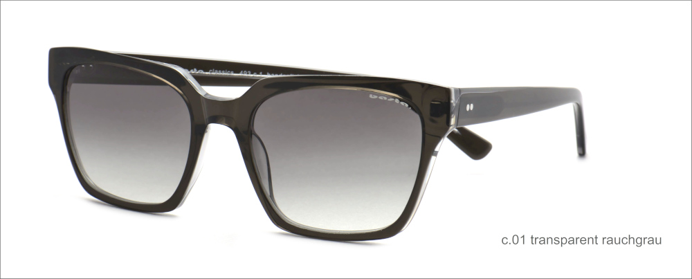 Modell 493